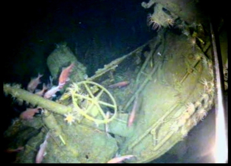 Fish swim around the helm of the sunken sub. (Australian Department of Defense via AP)